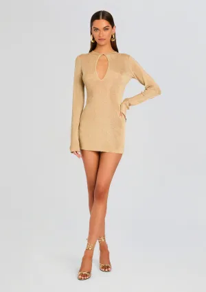 Emeri Metallic Knit Mini Dress