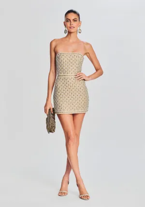 Heather Embellished Dress