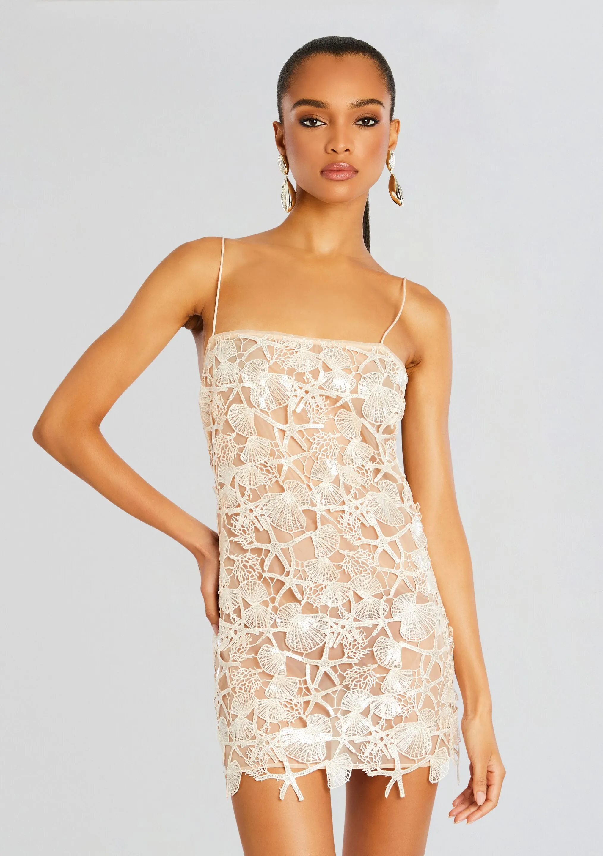Jaala Sequin Lace Dress